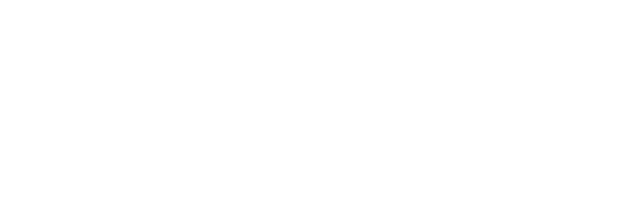 (1) Customised Travel Services / (2) Travel DX Platform / (3) High-value Regional Content Development